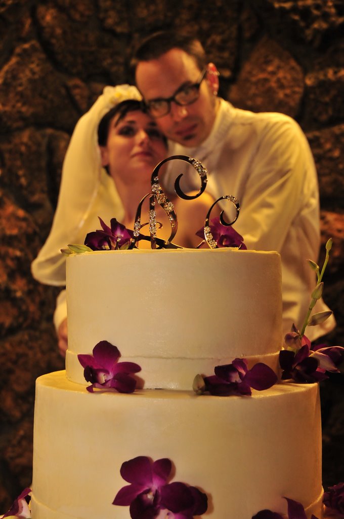 Picture of a bride and groom unfocused behind a wedding cake