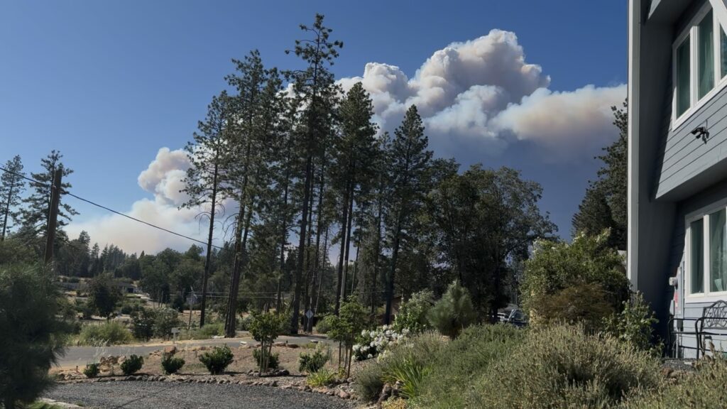 A view of smoke behind trees. The smoke is from a large wildfire.