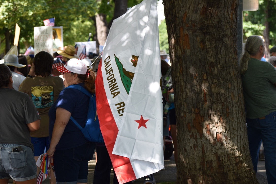 A California flag leans on the shoulder of a pro-democracy demonstrator at a No Kings rally