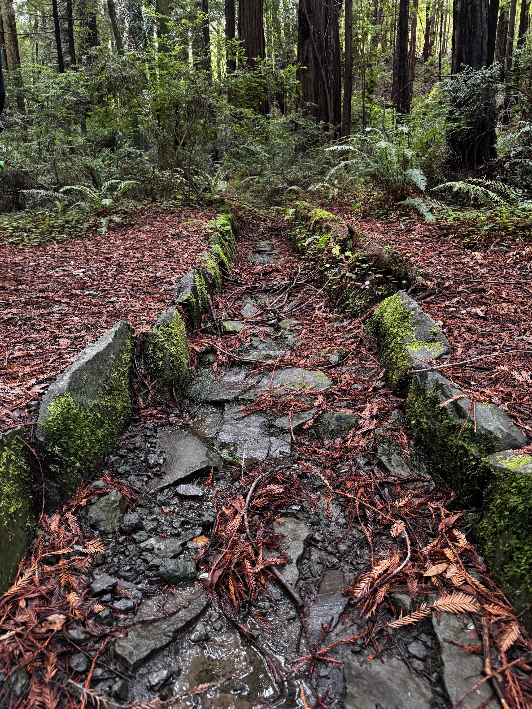 A stone drainage ditch in Chandler Grove