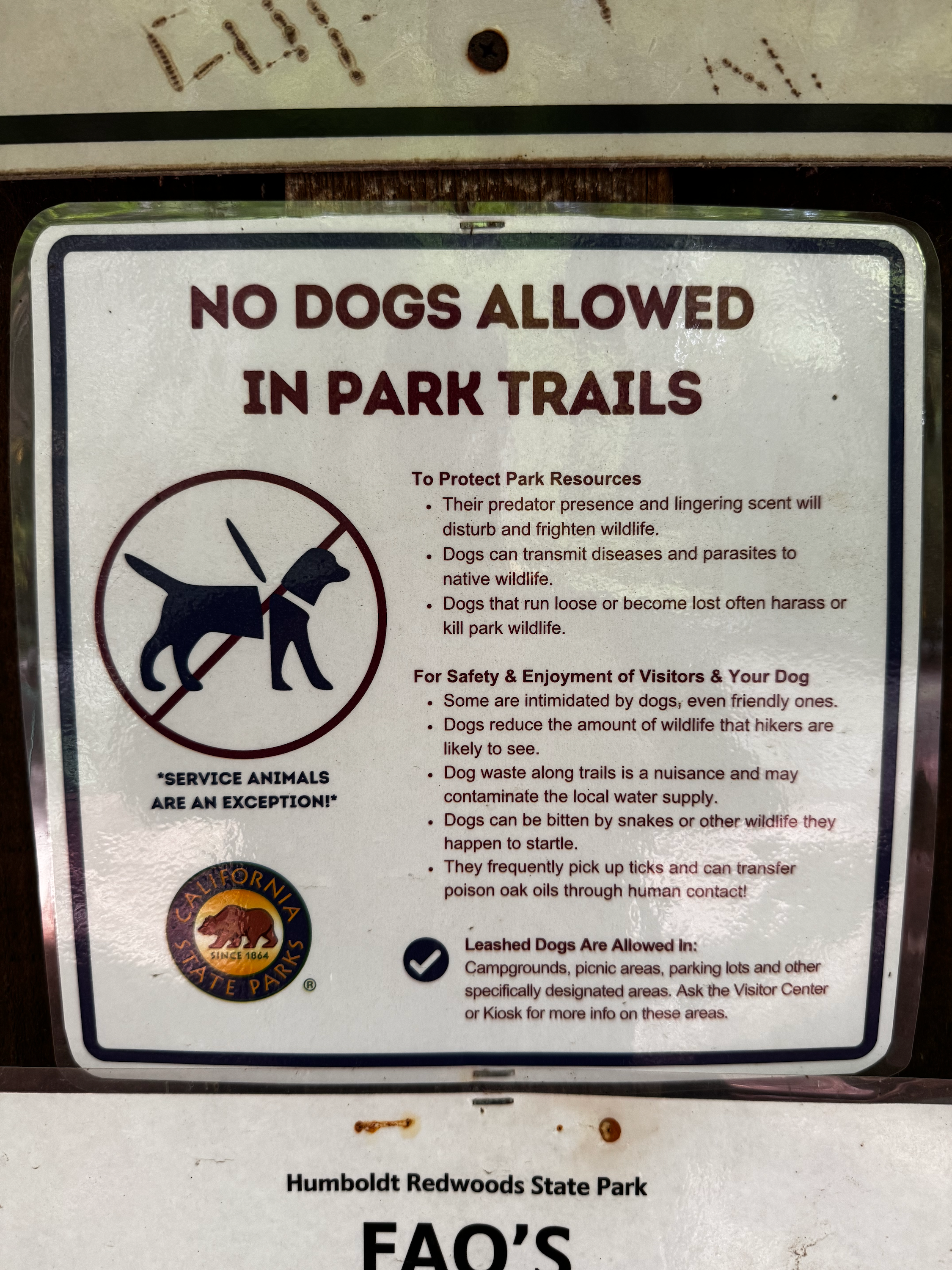 A sign explaining the no-dogs rules