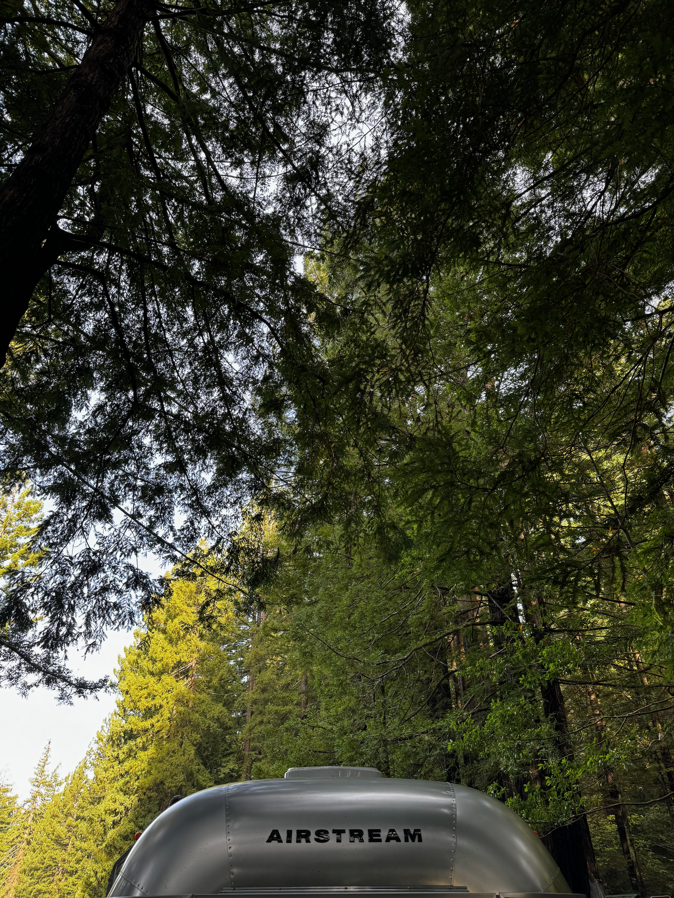 The roof our our airstream at the RV park