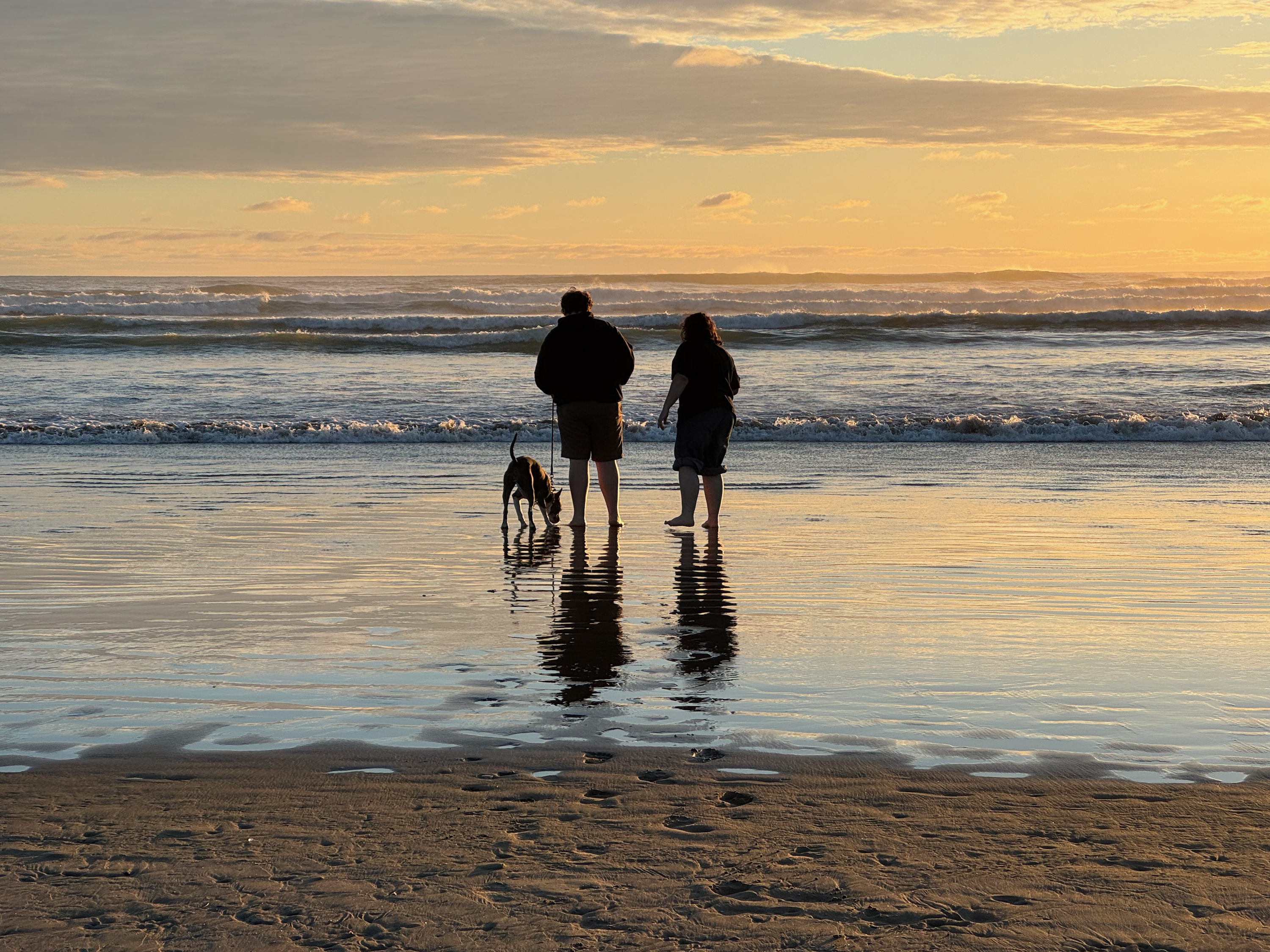 Silhouettes of my children and dog in the sunset